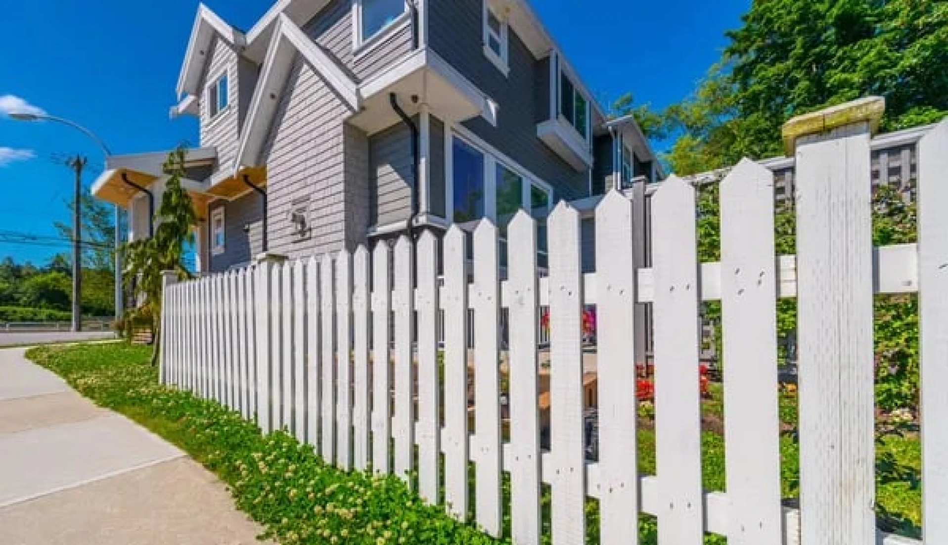 A white picket fence with green clover in front of a gray house